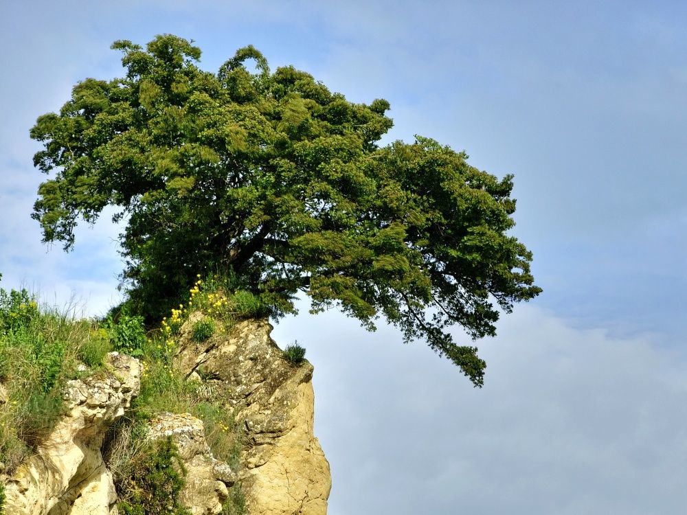 Photograph by Natali AB