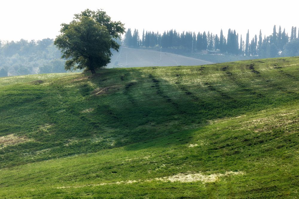 Photograph by Калашников Максим