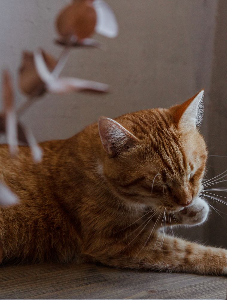 Photograph by Татьяна Кучерова