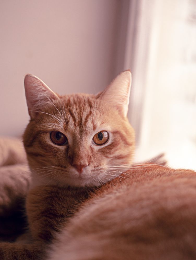 Photograph by Татьяна Кучерова