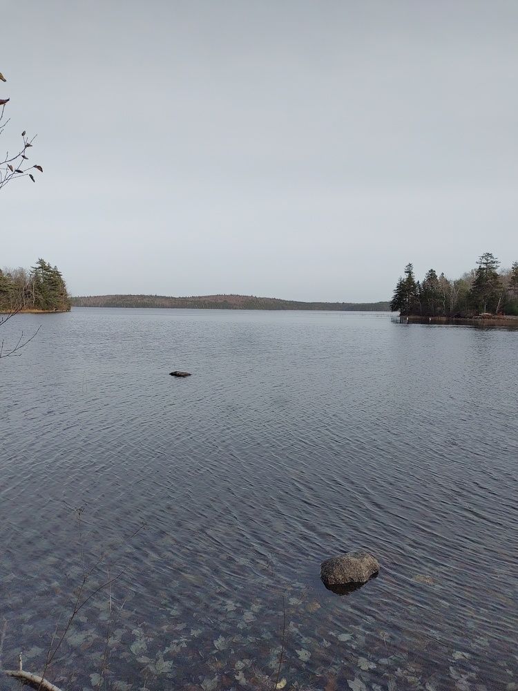 Photograph by Delano Ifill