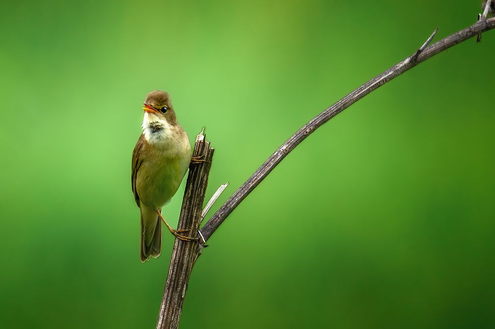 Photograph by Александр Соловьев