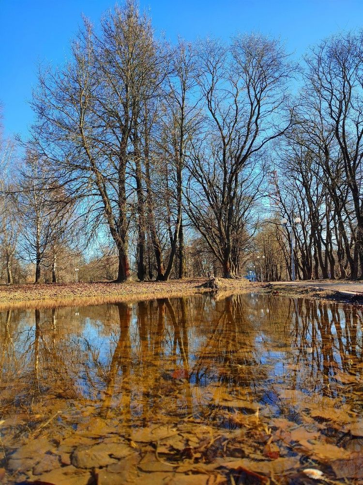 Photograph by Пауничева Вера