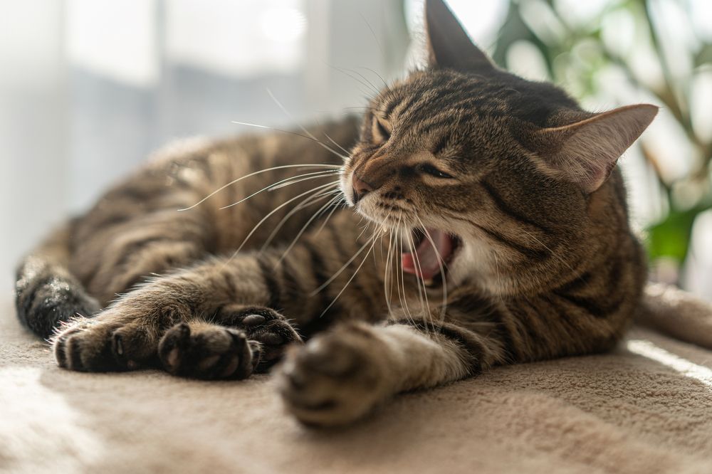 Photograph by Olga Hartmann