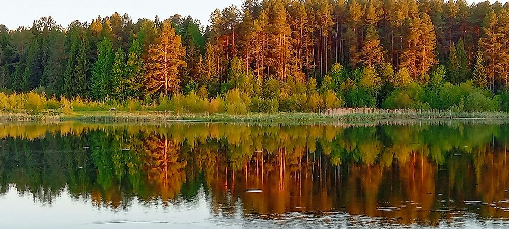 Photograph by Надежда Колеватова