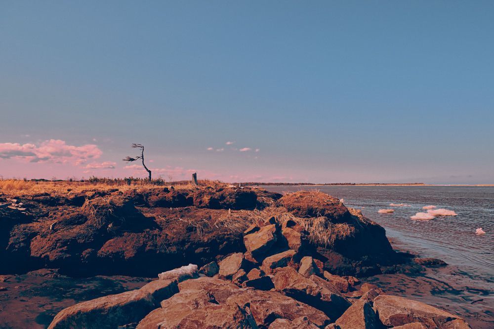 Photograph by lyudmila Soloveva