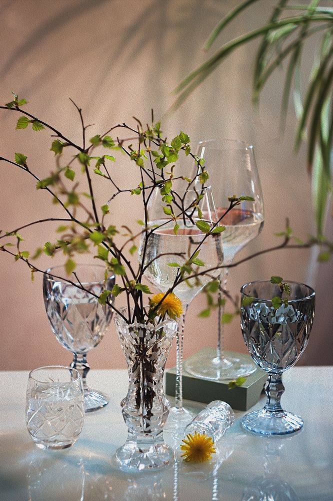 Фотография автора Елена Разина