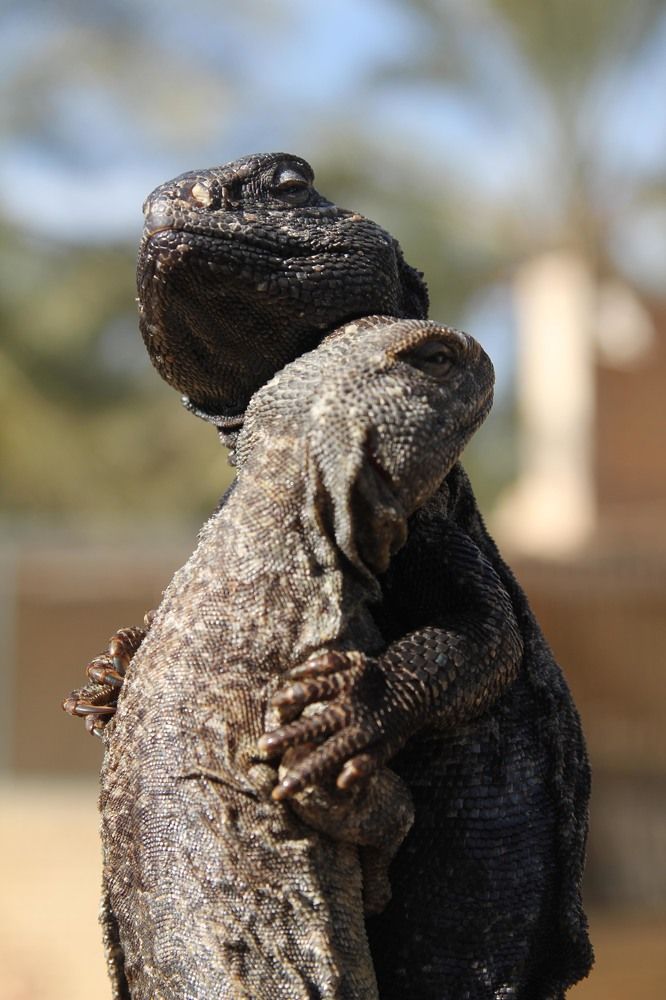 Photograph by Hashas Zineddine