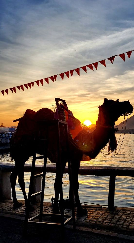 Photograph by Vidhya Darbar