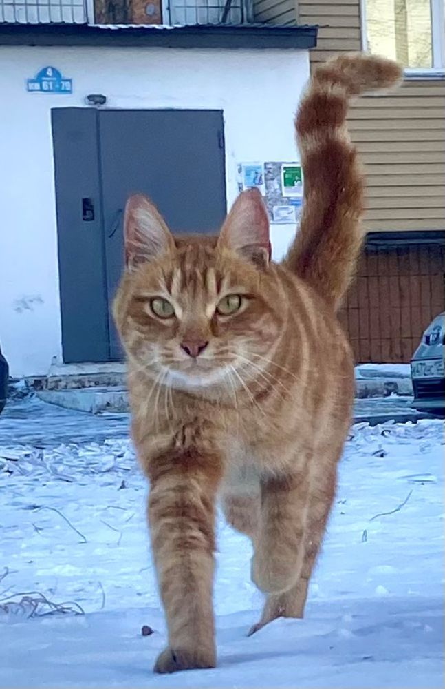 Photograph by Олег Волков