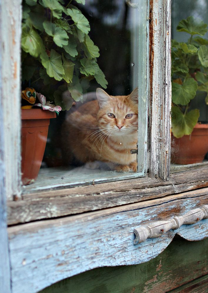 Photograph by Нина Аристова