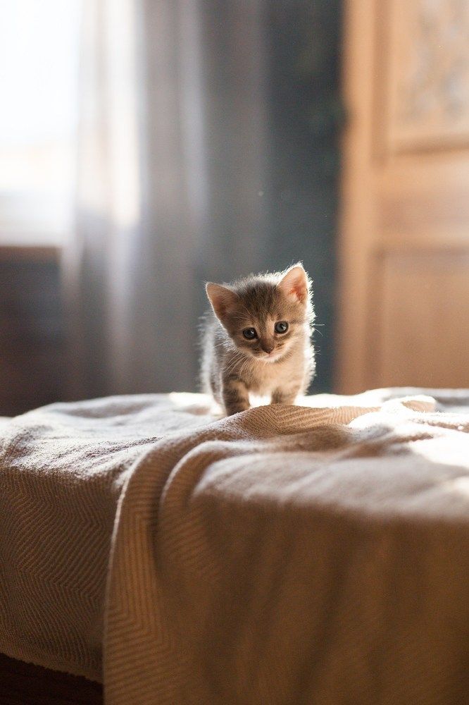 Photograph by Олеся Бакалина