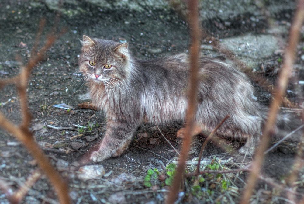 Photograph by Максим Филатов