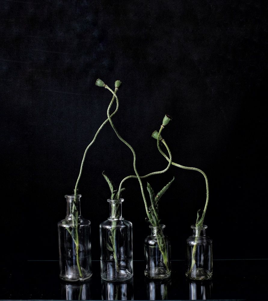 Photograph by Шабышева Антонина Михайловна