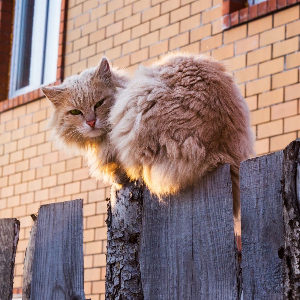 Photograph by Старцев Андрей