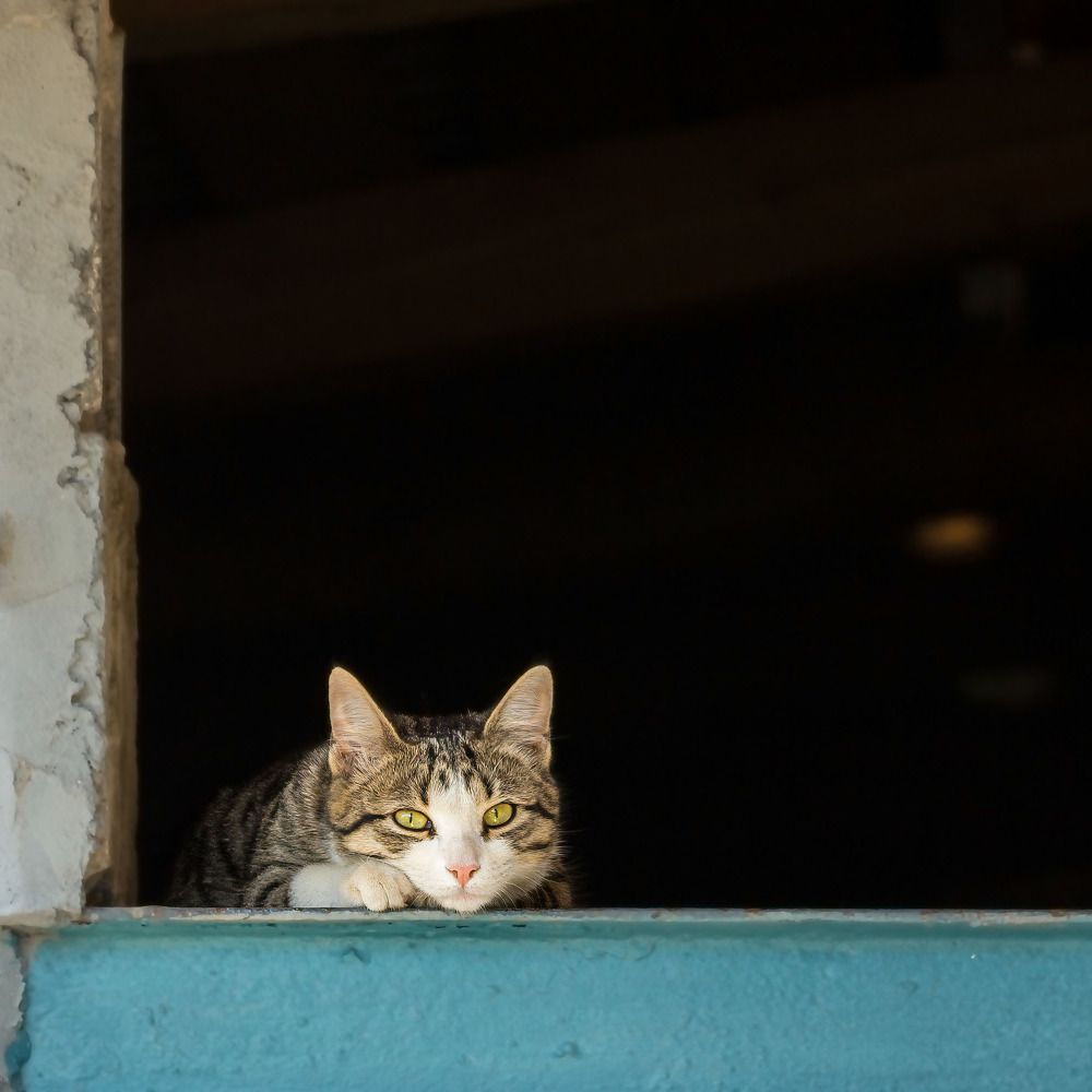 Photograph by Старцев Андрей