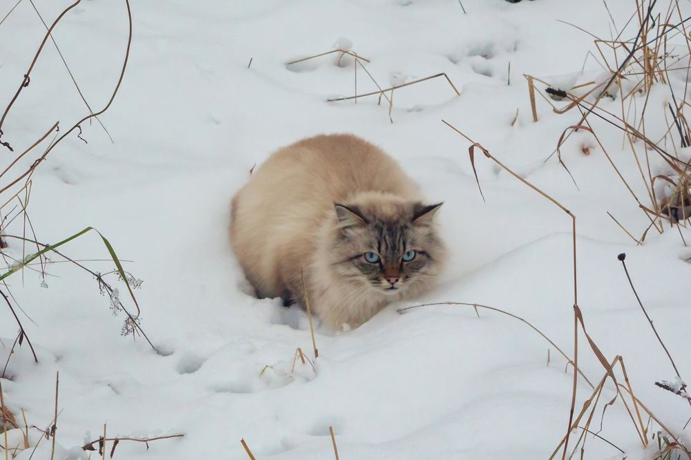 Photograph by Старцев Андрей