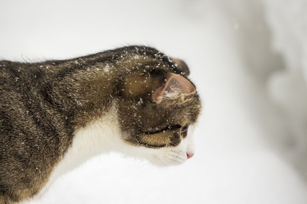 Photograph by Старцев Андрей