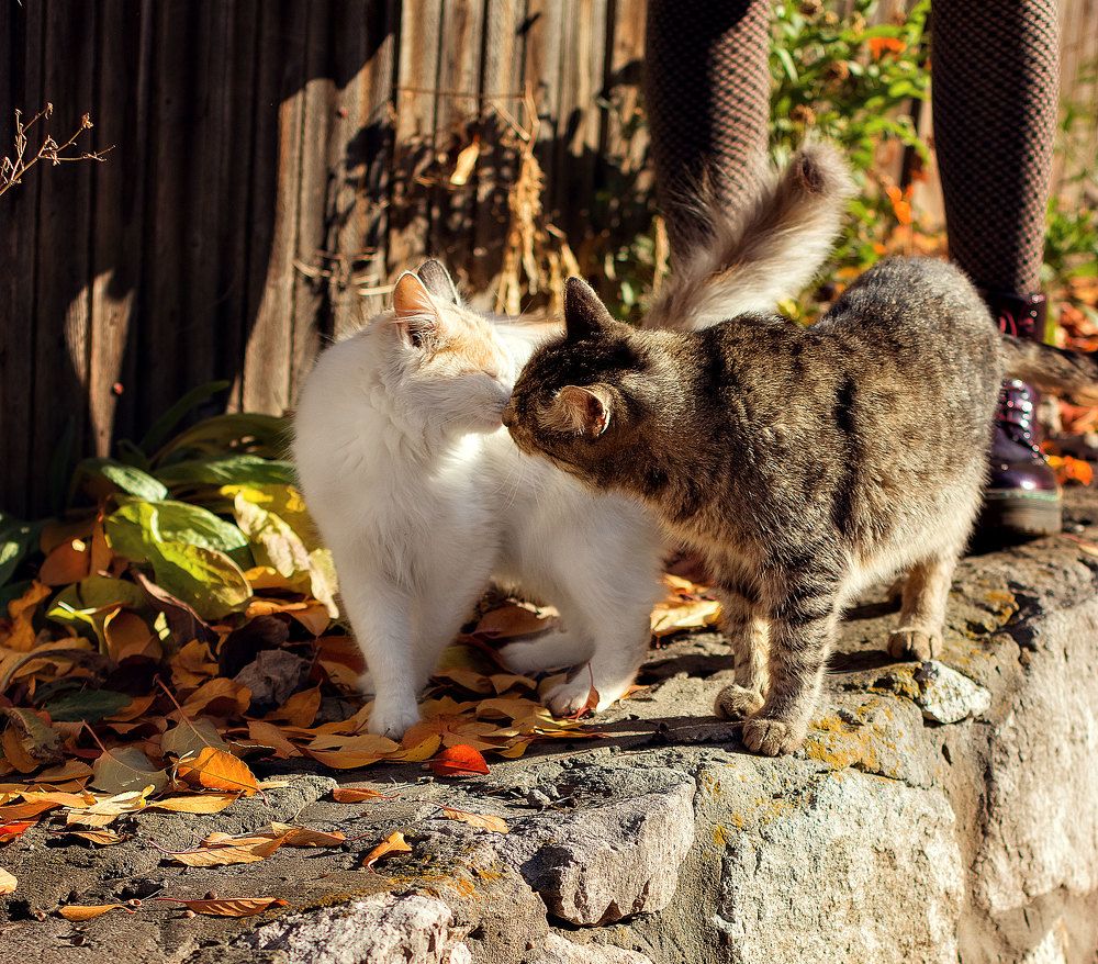 Photograph by Нина Аристова