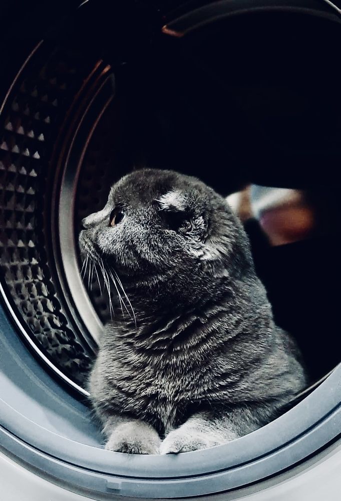 Photograph by Ольга Белоусова