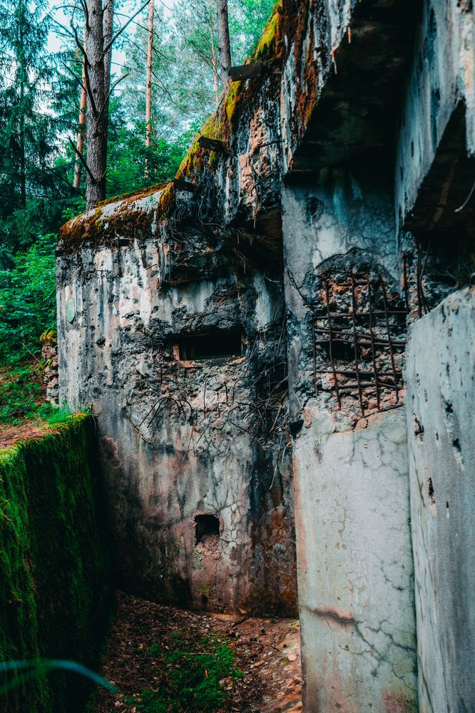 Photograph by Владислав Воронович