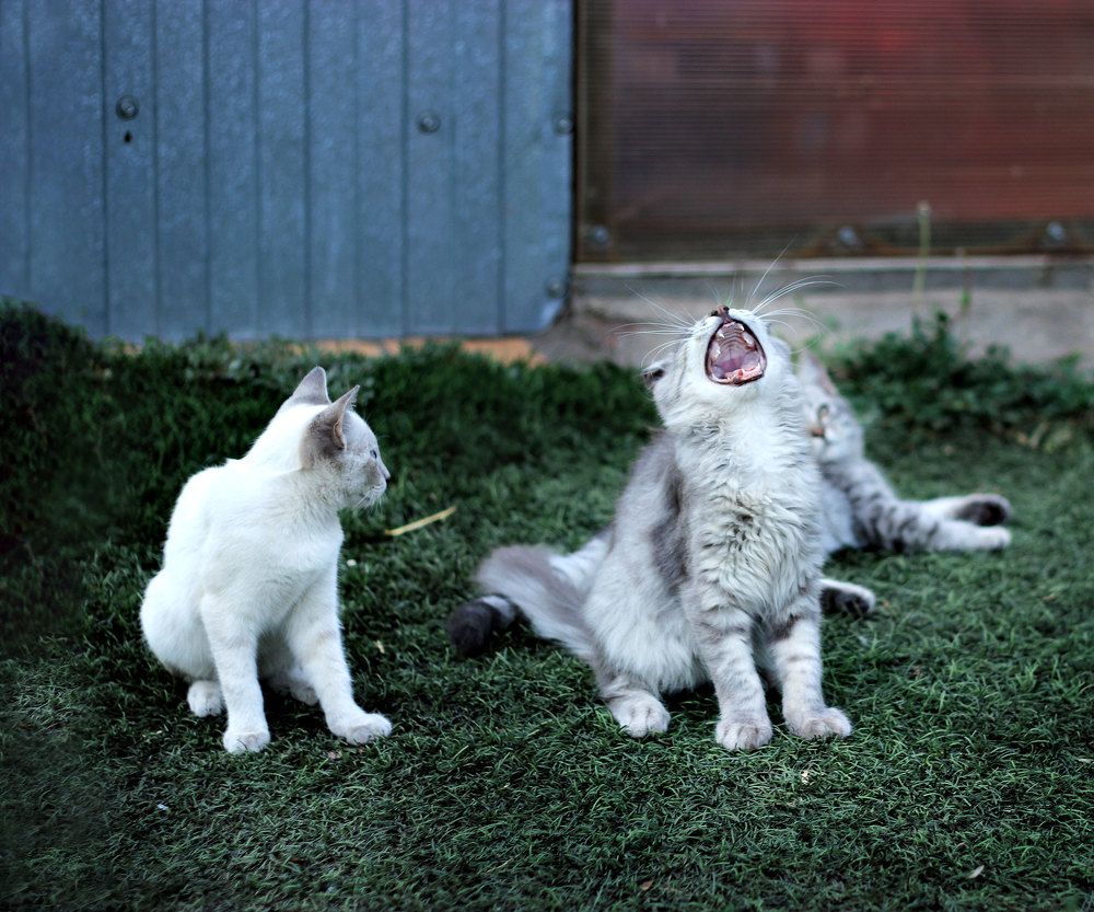 Photograph by Нина Аристова