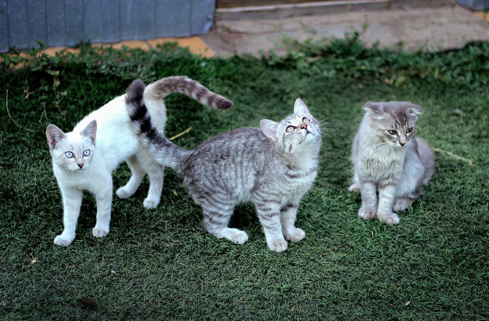 Photograph by Нина Аристова