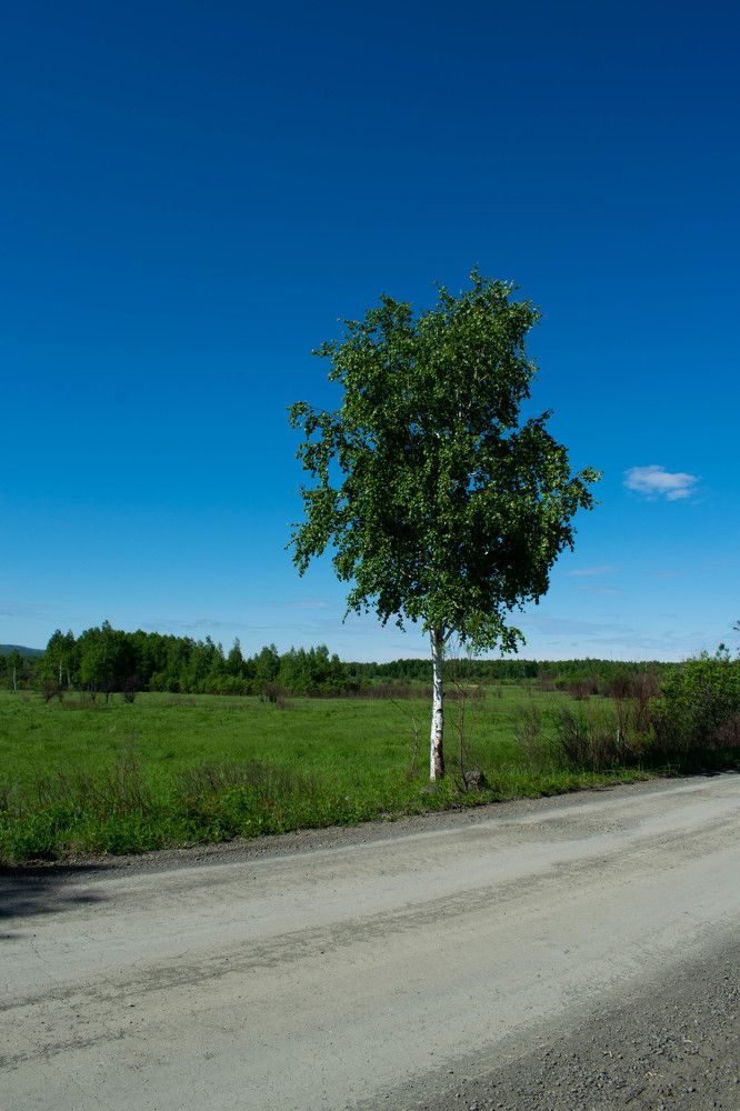 Photograph by Ольга Одинцова