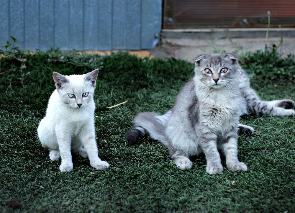 Photograph by Нина Аристова