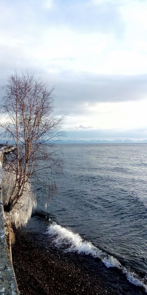 Photograph by Ирина Корнева