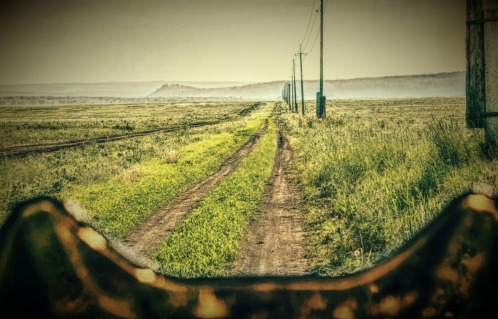 Photograph by Сергей Гриднев