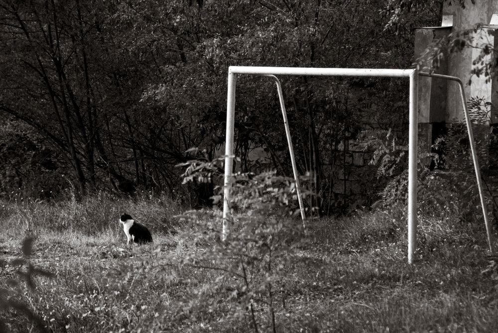 Photograph by Екатерина Бахтинова