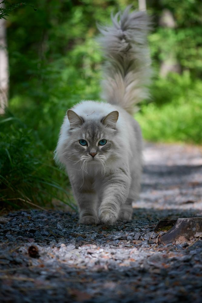 Photograph by Чехонин Александр