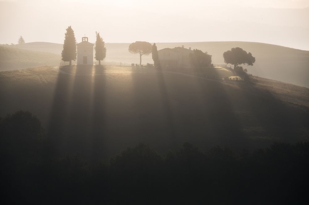 Фотография автора Niccolò Talenti