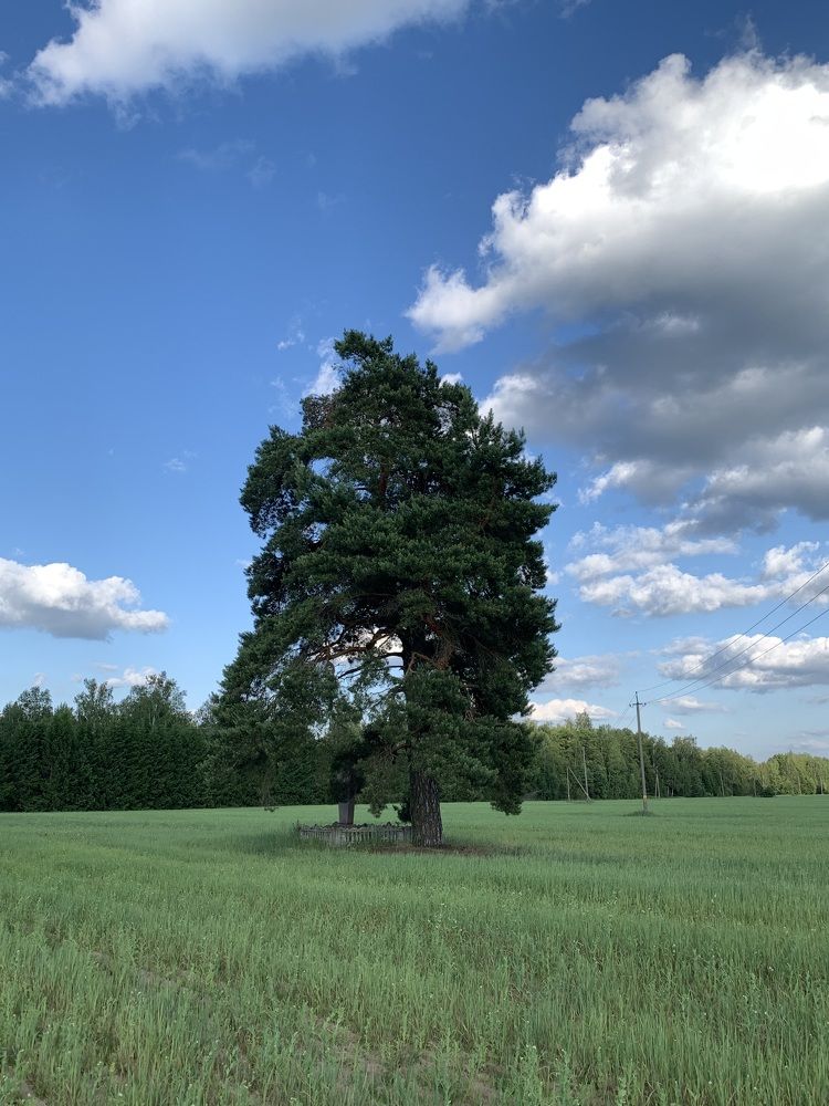 Фотография автора Ирина Шпаковская