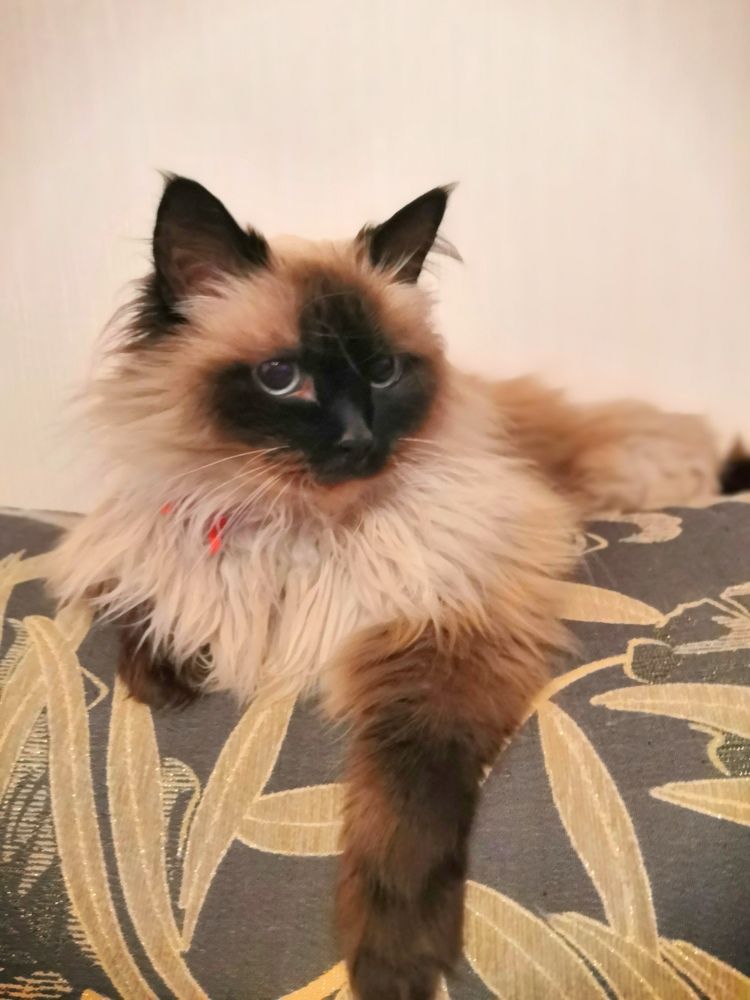 Photograph by Серёга Ануфриев