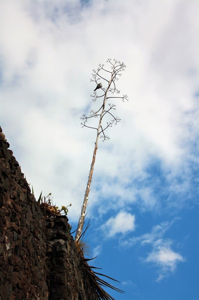 Photograph by Галина