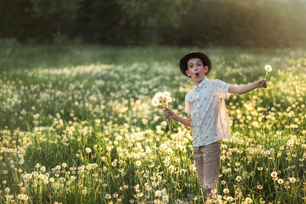Мальчик в поле с одуванчиками