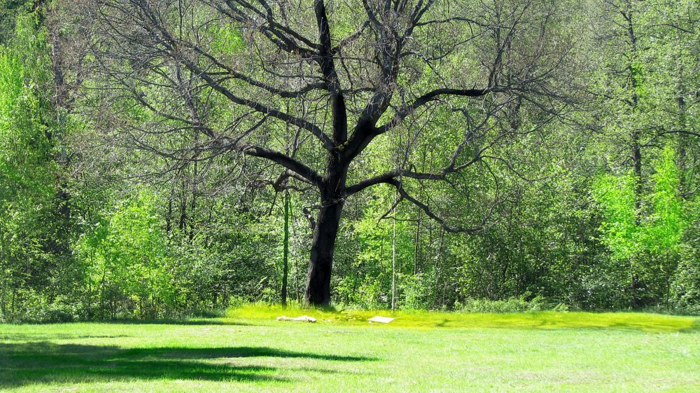 Photograph by Лада Кляузина