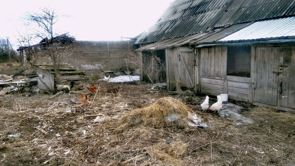 Photograph by Ирина Корнева