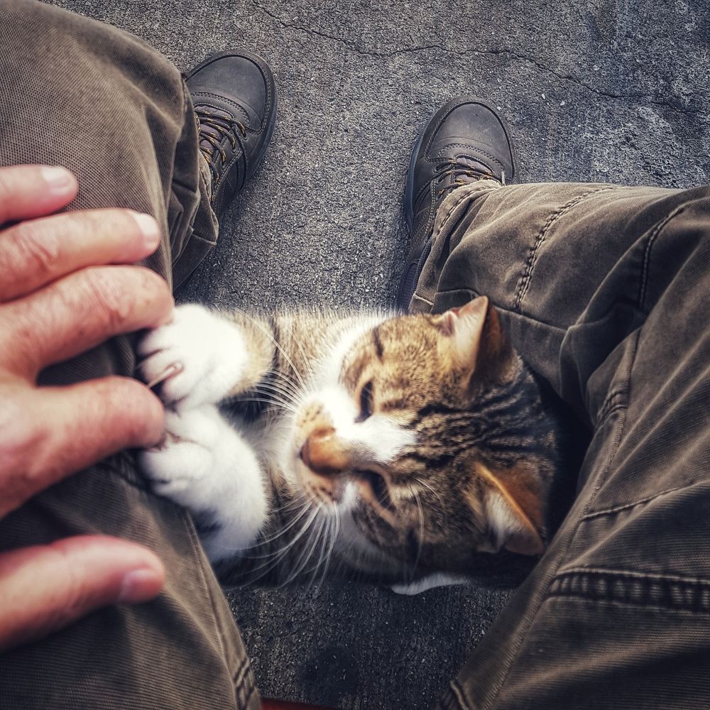 Photograph by fuat cimok