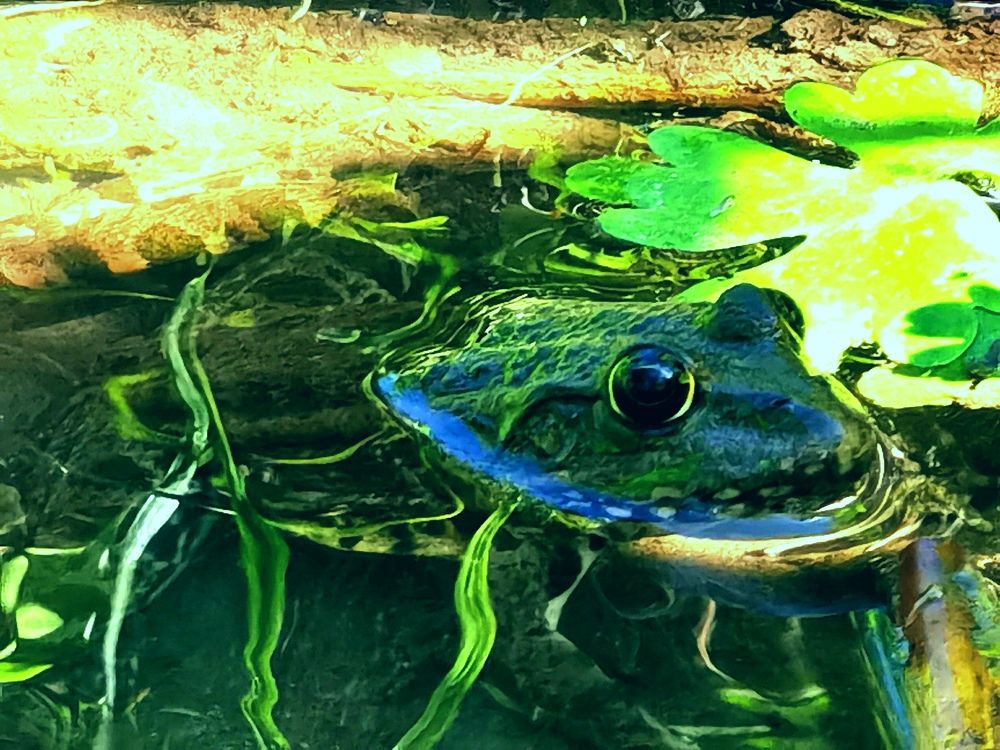 Фотография автора Rafa