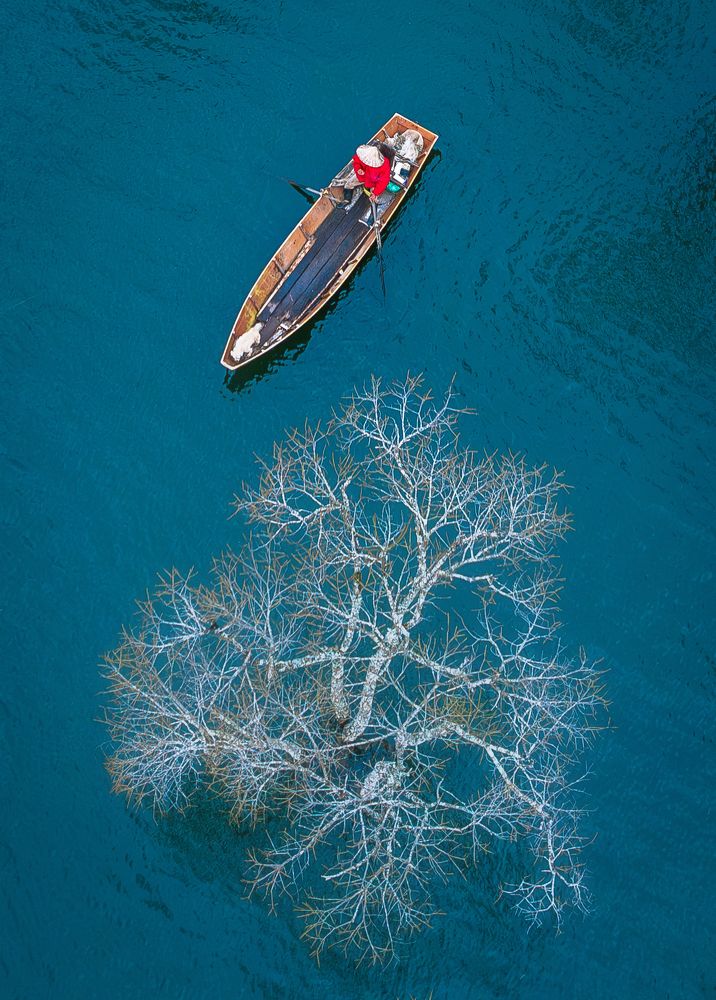 Photograph by Tran Phuong