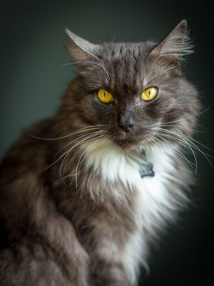 Photograph by Наталья Брюхненко