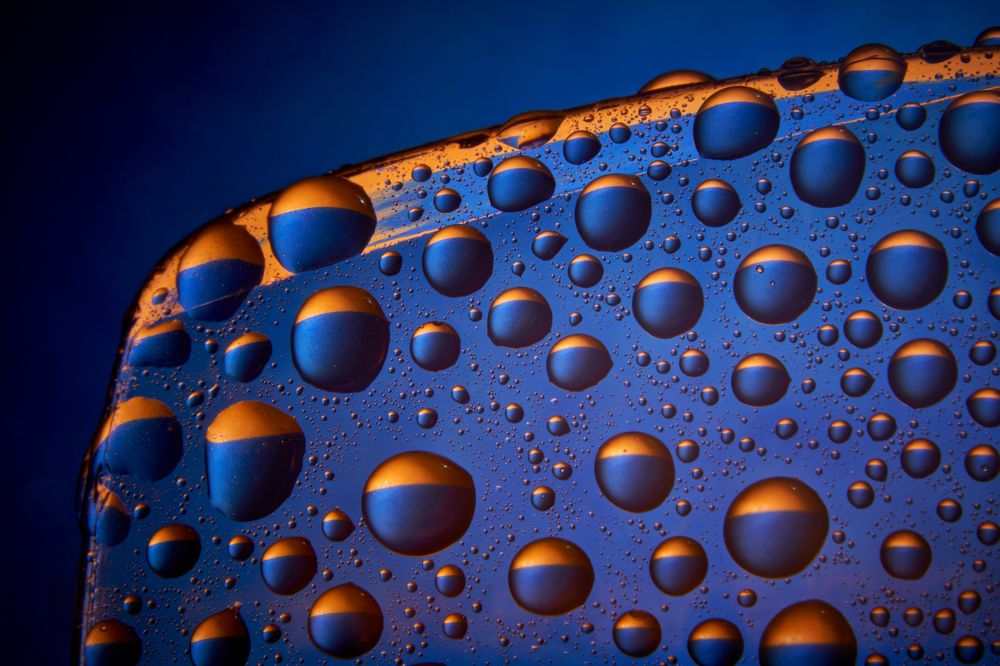 Photograph by Boris Bekelman