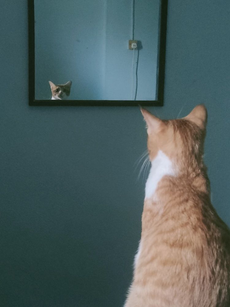 Photograph by fiqkri aziz