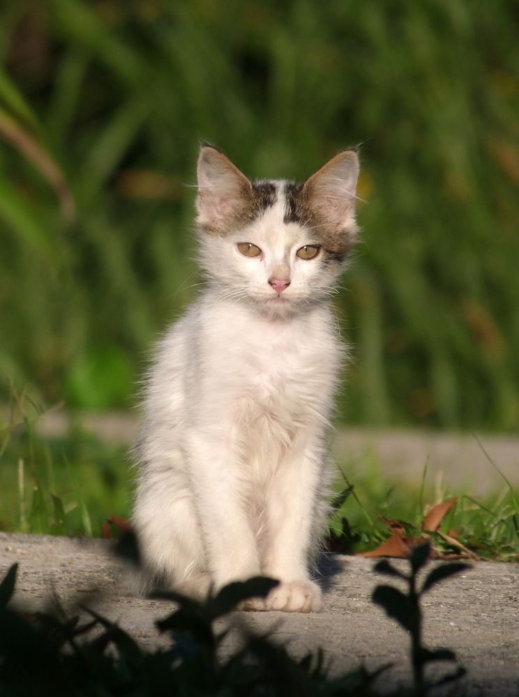 Photograph by GLEYDA GUTIÉREZ