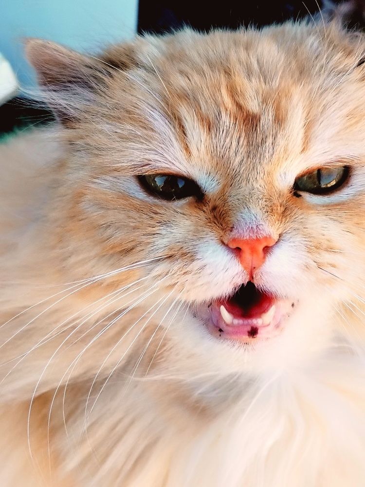 Photograph by Лиана Ратия