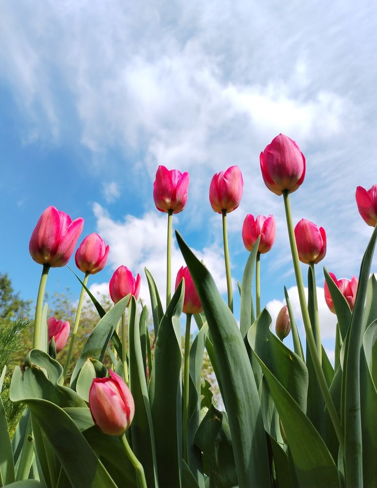 Photograph by Лиана Ратия