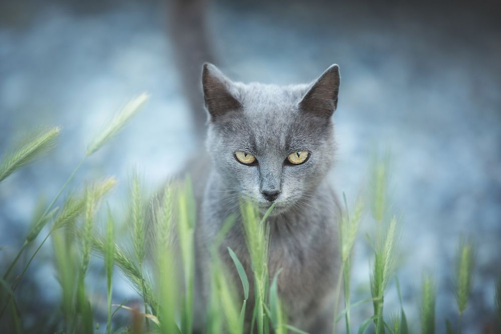 Photograph by Анастасия Чернявская